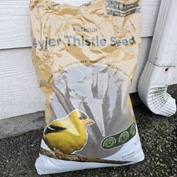 Nyjer Thistle Seed / Bird Feed