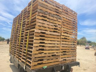 48x40 2-way Regular 8 Stacks Weekly