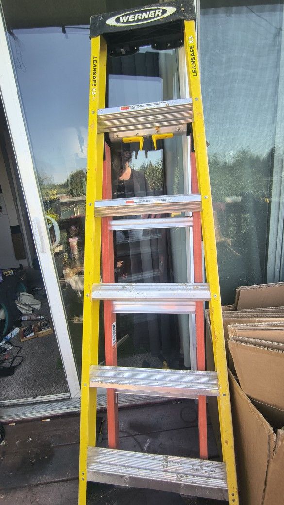 Werner Leansafe X3 Ladder