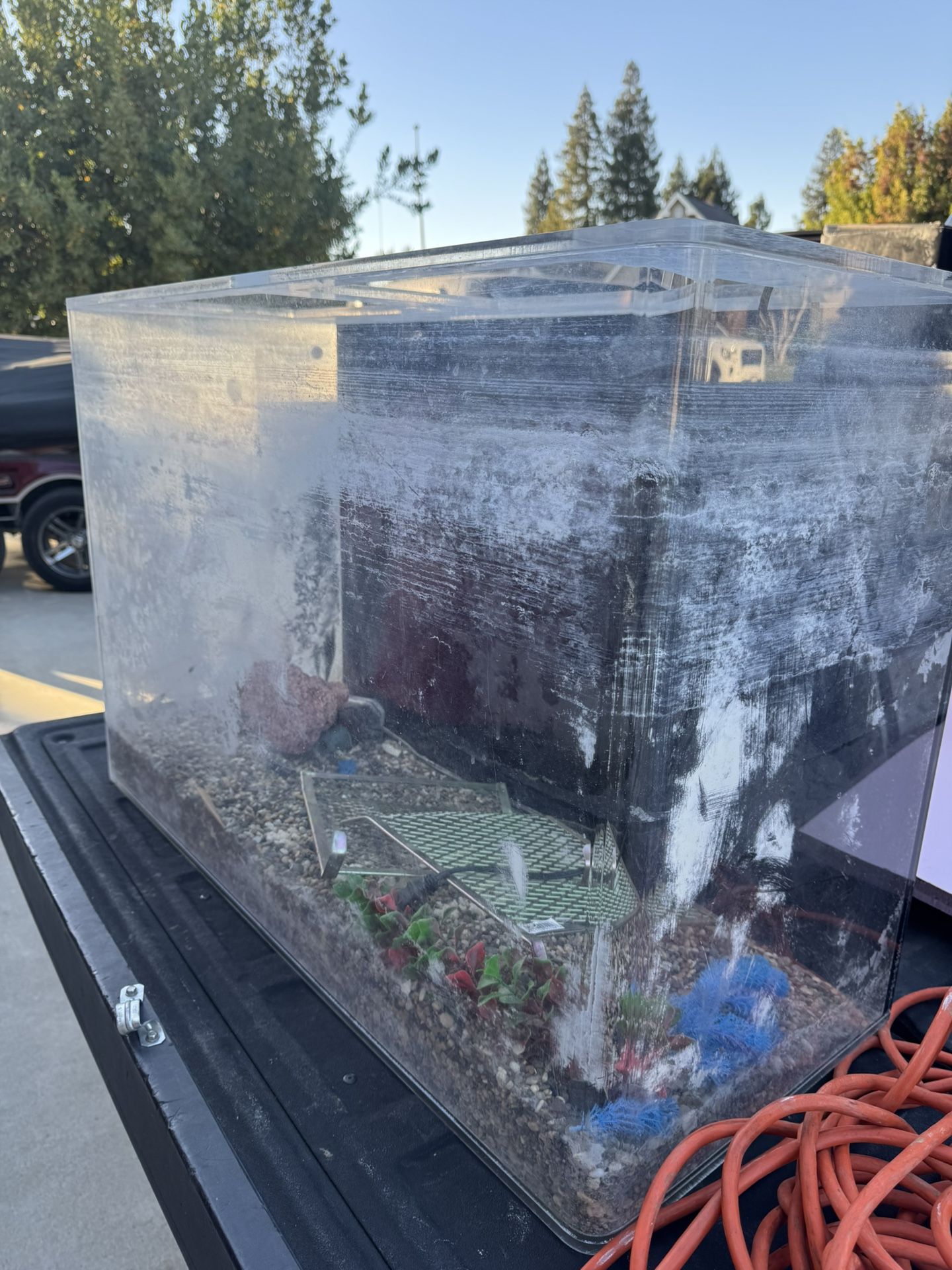 55 Gallon Fish Tank