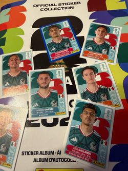 Mexico Panini World Cup Stickers