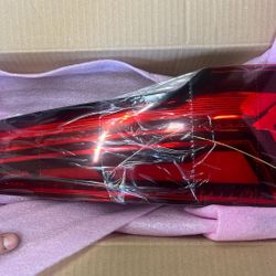 Volkswagen Left Rear Taillight Assembly 