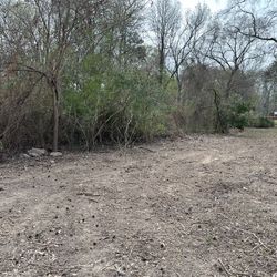 Land Clearing 