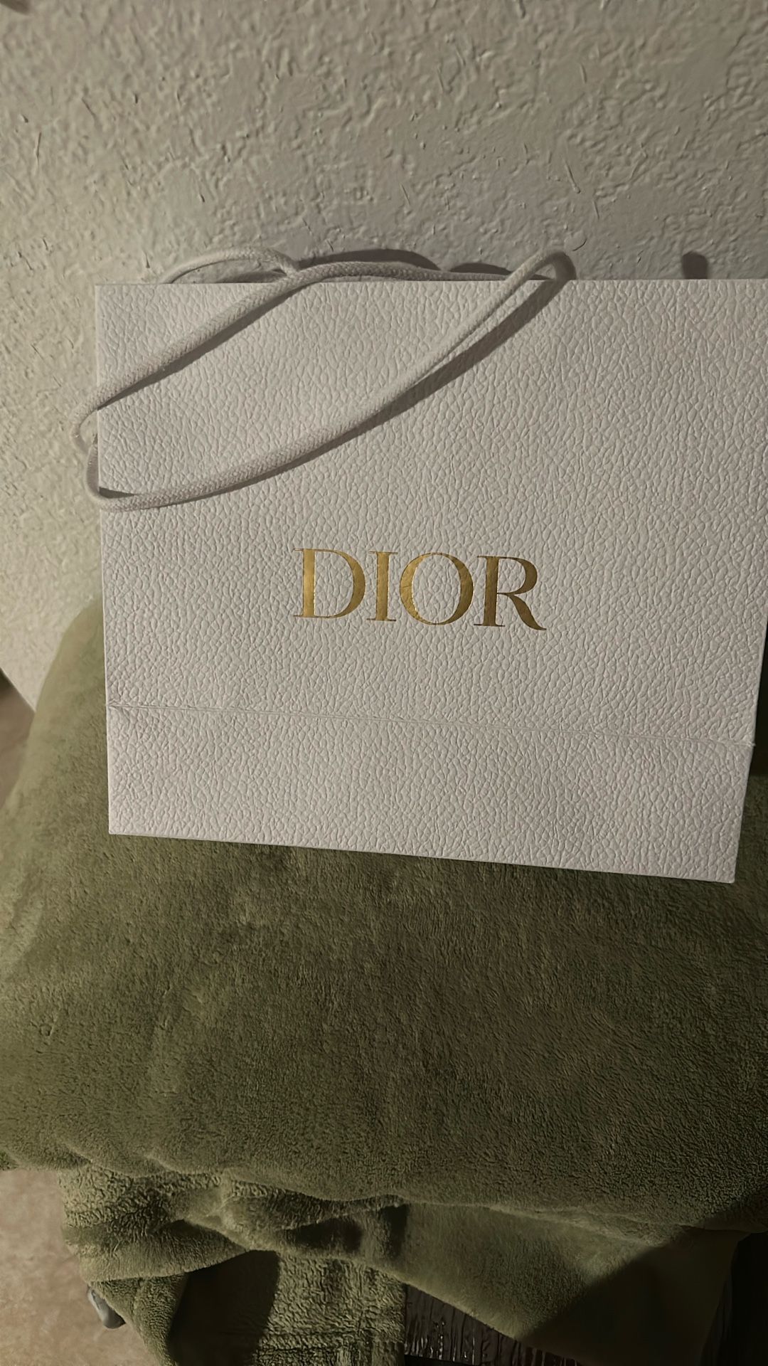 Dior Bag