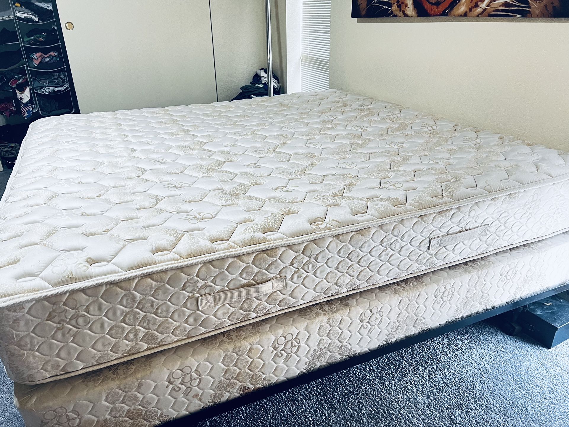 Sealy King Mattress