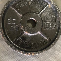35 Lbs  Standard Weight Plate