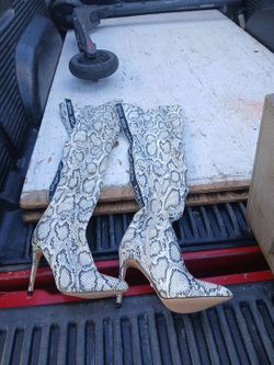 Bebe size 7 brand new boots snake
