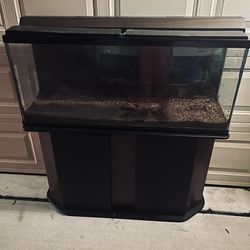 55 Gallon Fish Tank Setup 