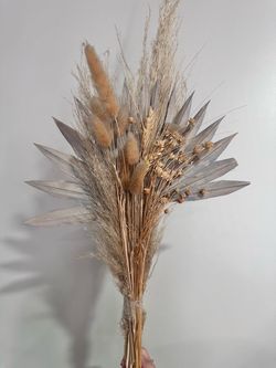 Dried flower stems