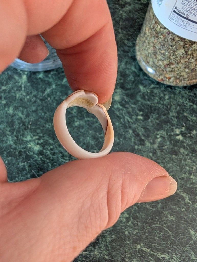Ivory Ring. May be Elephant Ivory