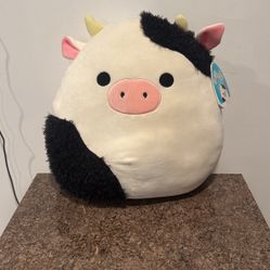 Squishmallow Connor 