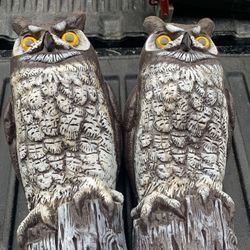 Owl Decoy