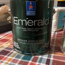 Emerald Semi Gloss Paint