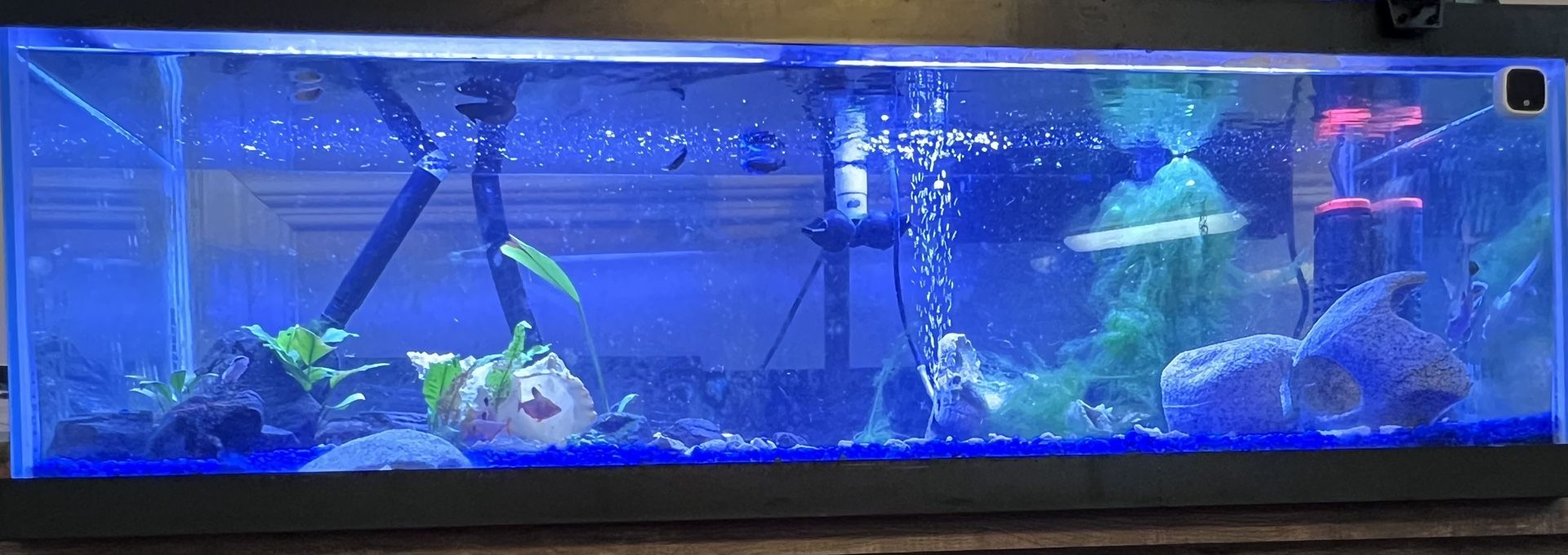 Aquarium Tank