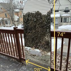 Williams-Sonoma 74 inch Full Length Arched Wall Mirrors