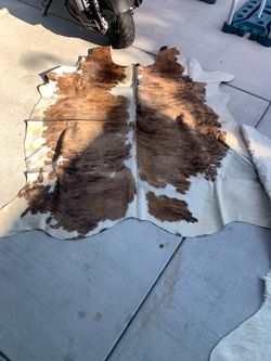 Cowhide real authentic