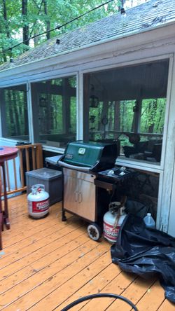 Free weber genesis silver