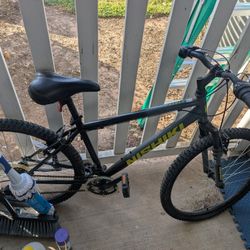 Bicycle For Sale