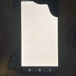 Samsung S21 5G (WORKS)