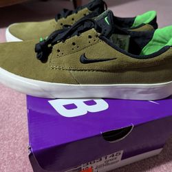 Nike Skate Shoes