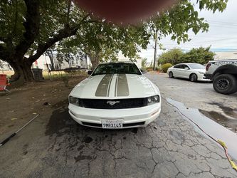 2005 Ford Mustang