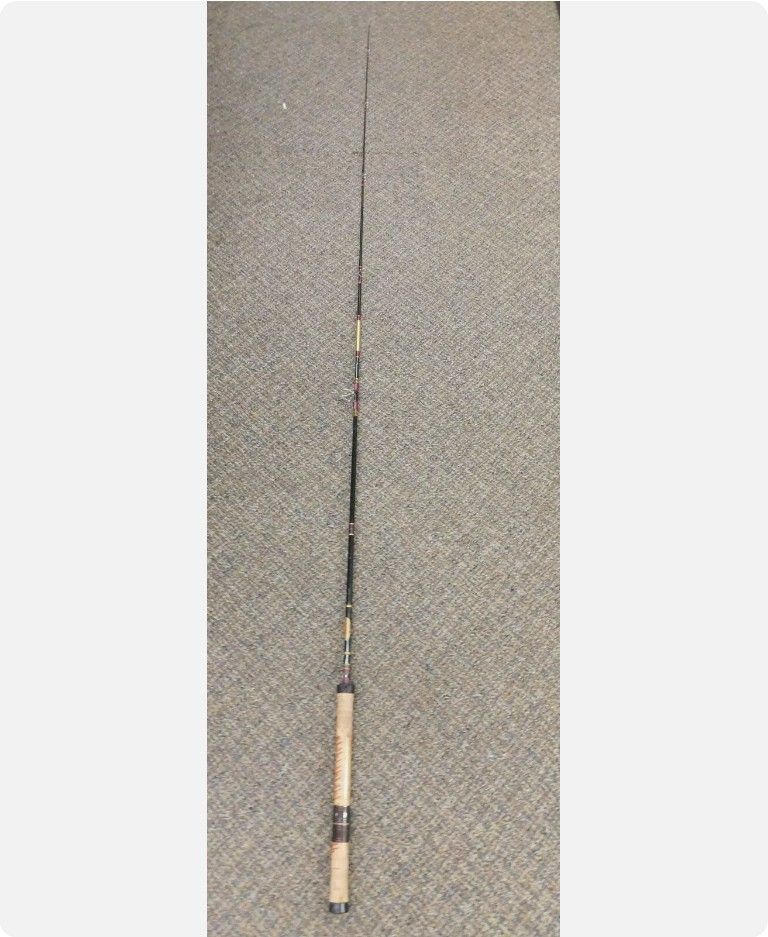 10ft telescopic fishing rod 10' TELESCOPIC SEA FISHING ROD BEACHCASTER PIER FISHING ROD TRAVEL SEA ROD
