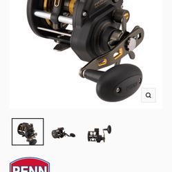 (New ) Penn Fathom II 30WLCLLH