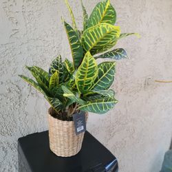 23" artificial Plant new