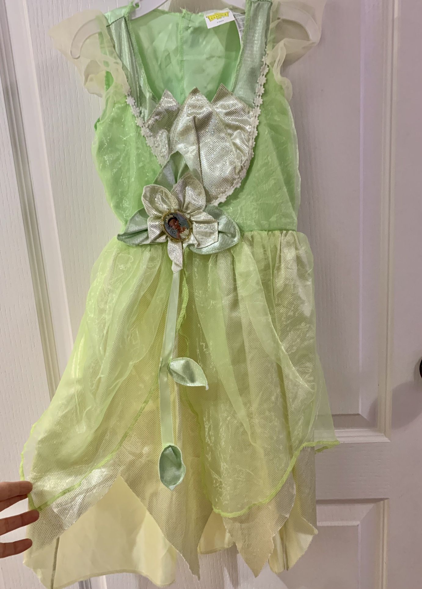 Girls Princess Tiana Costume