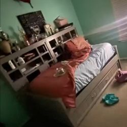 Twin Bookcase Bed