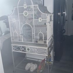 Birds Cage