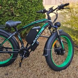 Electric bike