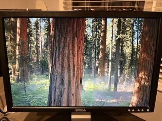 Dell Monitor 19”