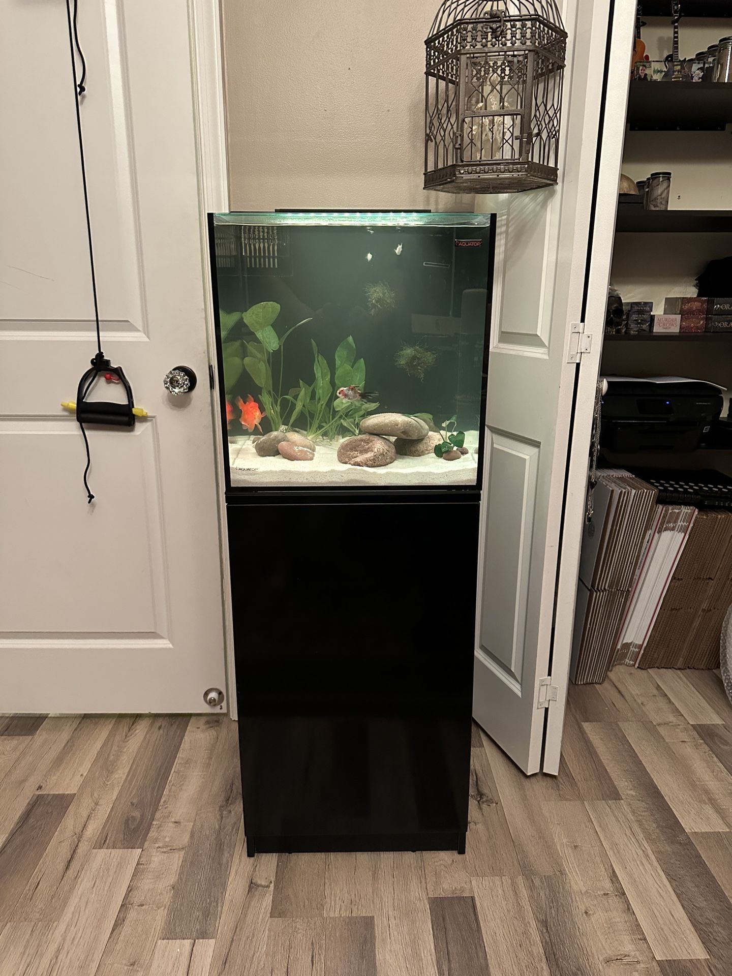 AQUATOP Recife ECO 24 Gallon Tank & Stand Combo (Black) with all