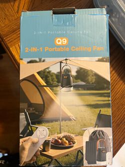 Portable ceiling fan and light and control