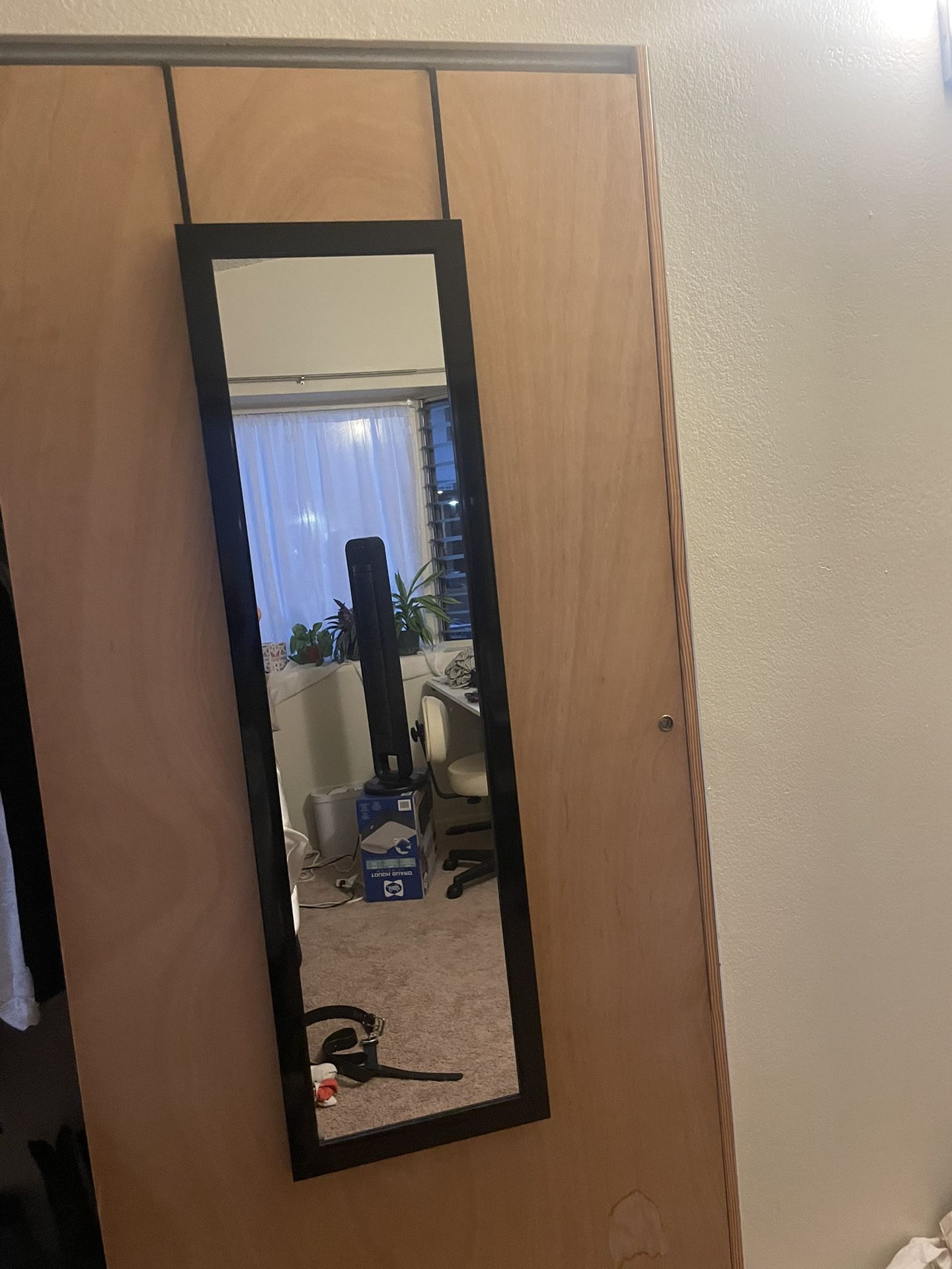 Over door black trimmed hanging mirror