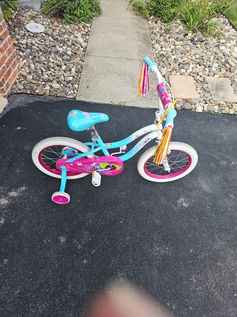 Girls Bike 16" w/ Training Wheels