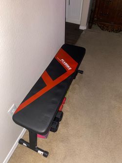flybird workout bench