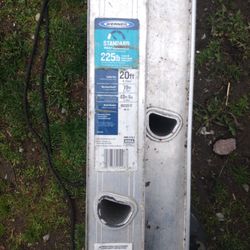 Werner Model No.DI220-2.  20ft Standard Performance Ladder
