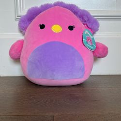 Sweet pea Peacock Squishmallow 