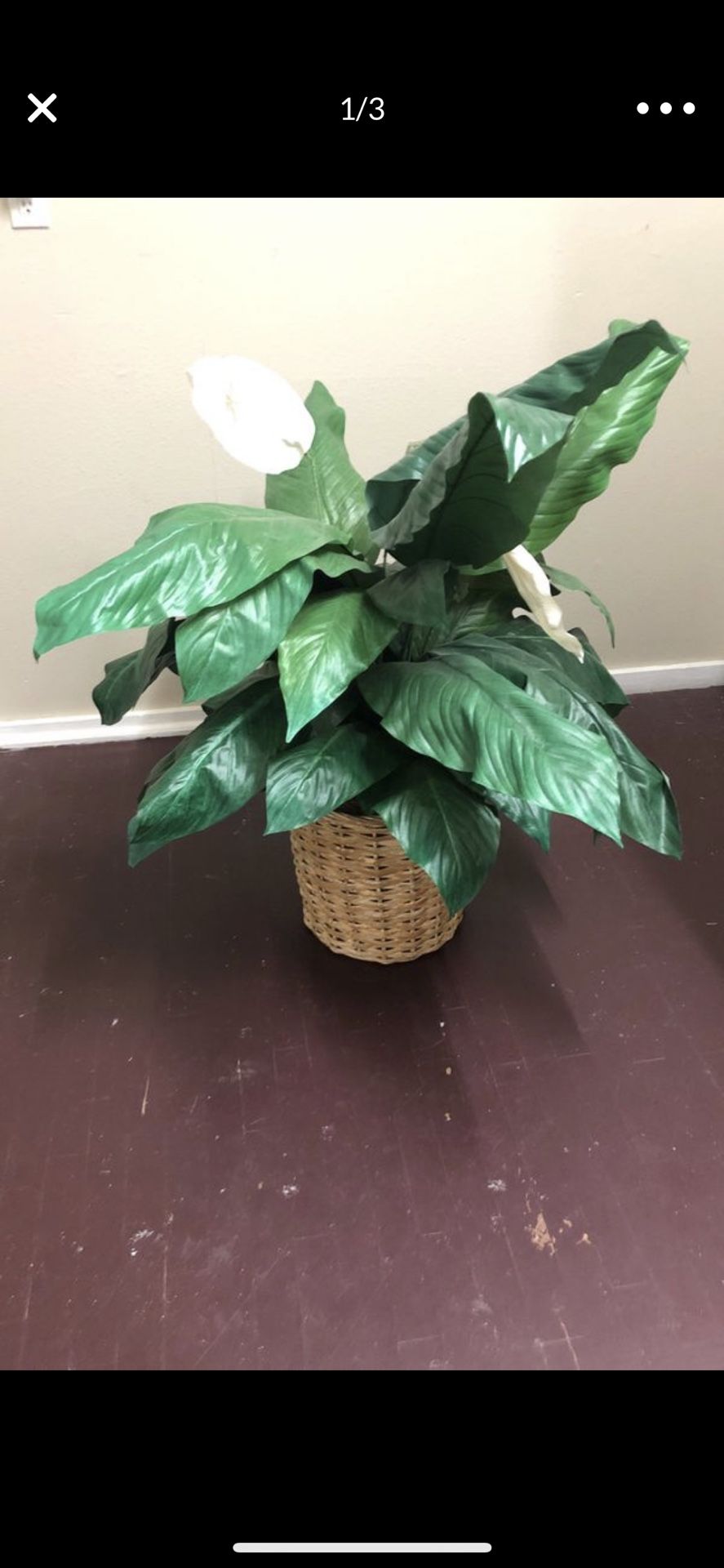 Fake plant