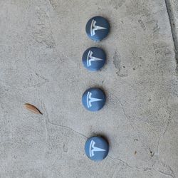 Tesla Wheel Center Caps