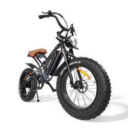 Electric Bike (check Description)