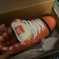 SB DUNKS