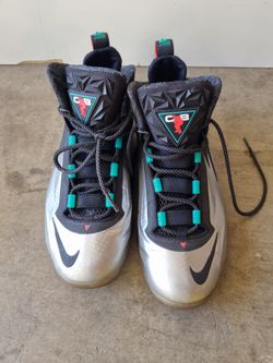 Charles barkley shoes