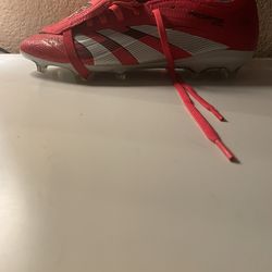 Predator Pure Victory