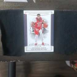 National Treasures Anthony Davis /39
