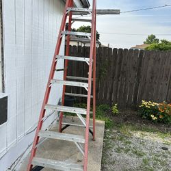 Werner Ladder