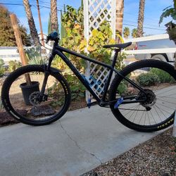 Specialized Rock Hopper Large 
