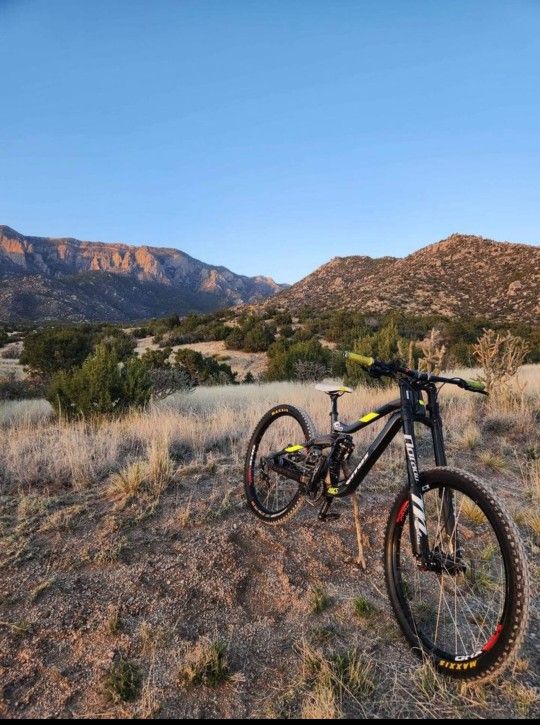 Custom Vitus Dominer Downhill Mountain Bike